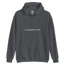 "i'm the grandchild of 1948." Embroidered Unisex Hoodie